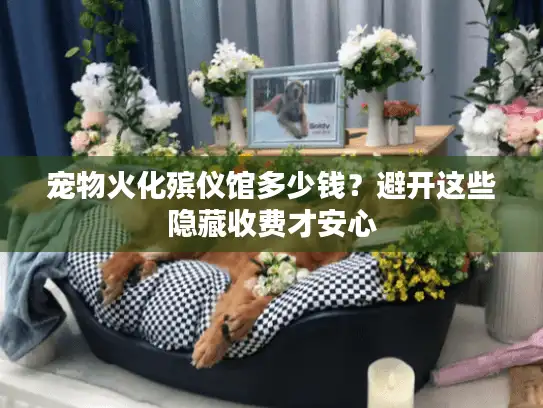 宠物火化殡仪馆多少钱？避开这些隐藏收费才安心