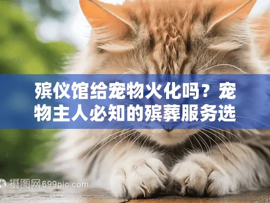 殡仪馆给宠物火化吗？宠物主人必知的殡葬服务选择终极攻略
