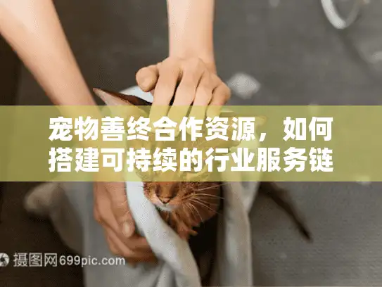 宠物善终合作资源，如何搭建可持续的行业服务链？