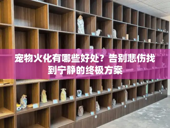 宠物火化有哪些好处？告别悲伤找到宁静的终极方案