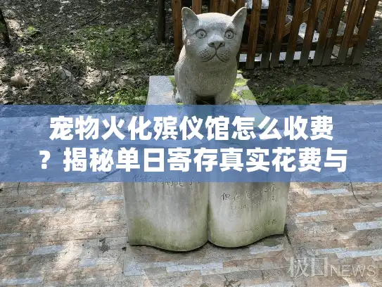 宠物火化殡仪馆怎么收费？揭秘单日寄存真实花费与避坑指南