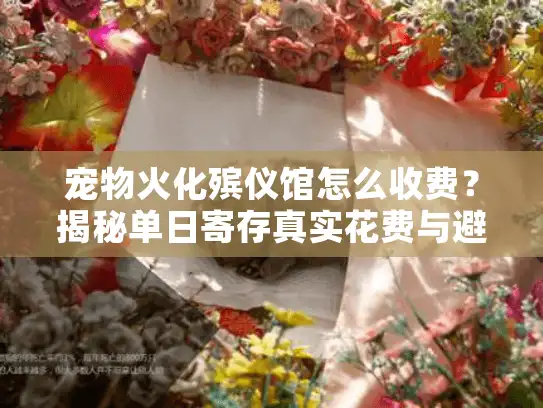 宠物火化殡仪馆怎么收费？揭秘单日寄存真实花费与避坑指南
