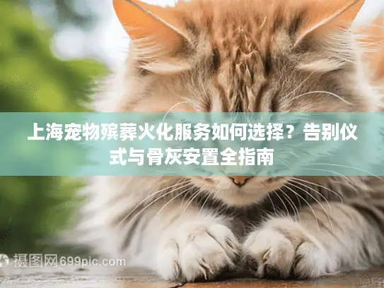 上海宠物殡葬火化服务如何选择？告别仪式与骨灰安置全指南