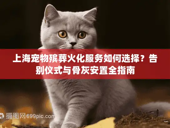 上海宠物殡葬火化服务如何选择？告别仪式与骨灰安置全指南