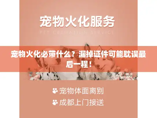宠物火化必带什么？漏掉证件可能耽误最后一程！