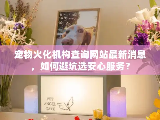 宠物火化机构查询网站最新消息，如何避坑选安心服务？