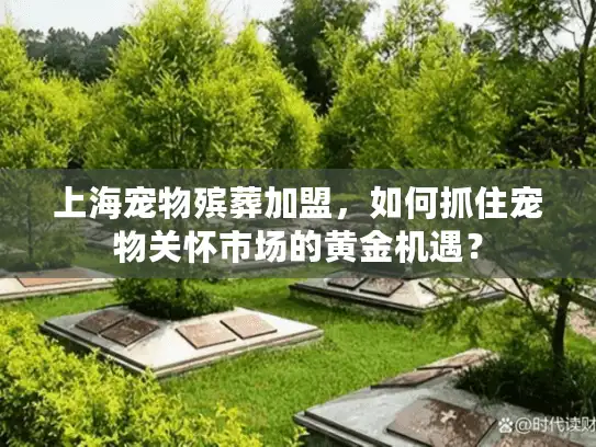 上海宠物殡葬加盟，如何抓住宠物关怀市场的黄金机遇？