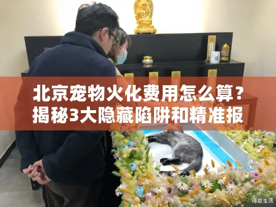 北京宠物火化费用怎么算？揭秘3大隐藏陷阱和精准报价公式