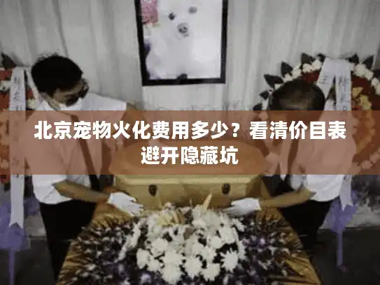 北京宠物火化费用多少？看清价目表避开隐藏坑