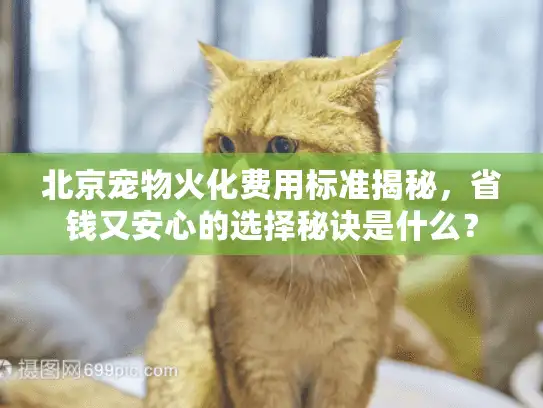 北京宠物火化费用标准揭秘，省钱又安心的选择秘诀是什么？