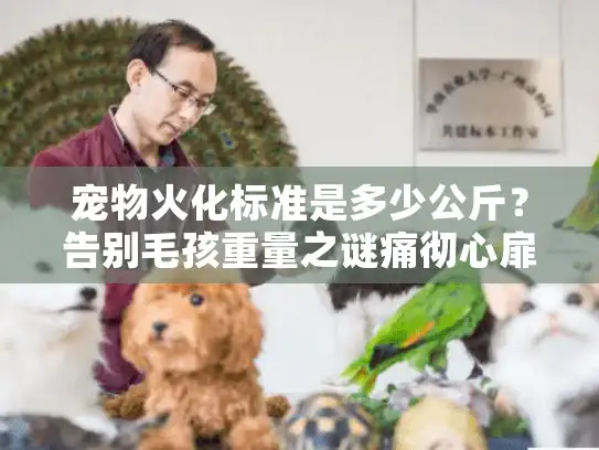 宠物火化标准是多少公斤？告别毛孩重量之谜痛彻心扉