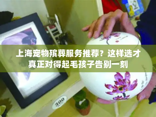 上海宠物殡葬服务推荐？这样选才真正对得起毛孩子告别一刻