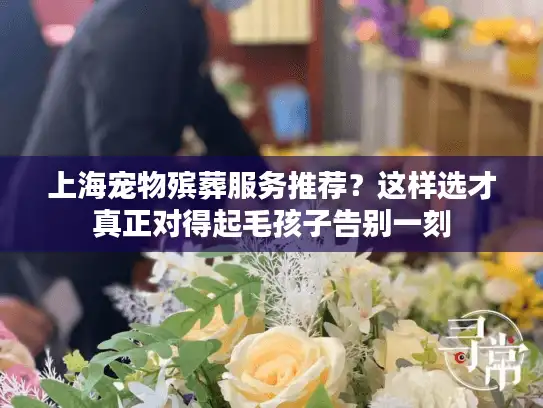 上海宠物殡葬服务推荐？这样选才真正对得起毛孩子告别一刻