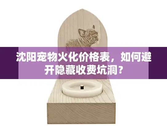 沈阳宠物火化价格表，如何避开隐藏收费坑洞？
