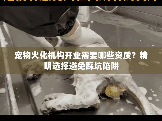 宠物火化机构开业需要哪些资质？精明选择避免踩坑陷阱