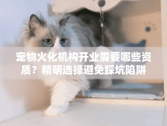 宠物火化机构开业需要哪些资质？精明选择避免踩坑陷阱