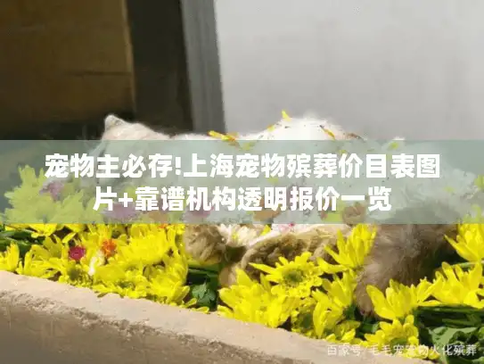 宠物主必存!上海宠物殡葬价目表图片+靠谱机构透明报价一览