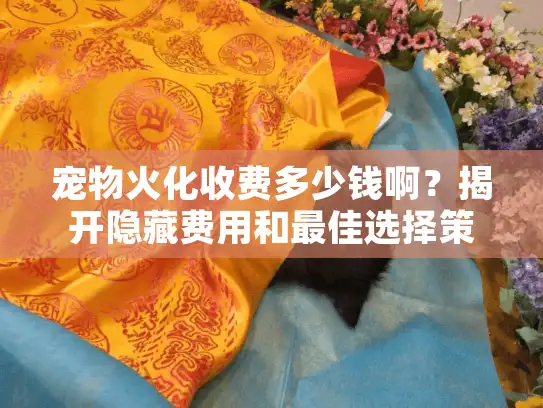 宠物火化收费多少钱啊？揭开隐藏费用和最佳选择策略