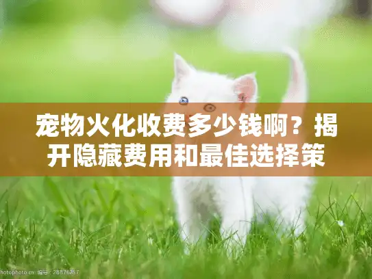 宠物火化收费多少钱啊？揭开隐藏费用和最佳选择策略