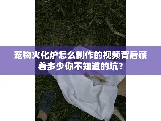 宠物火化炉怎么制作的视频背后藏着多少你不知道的坑？