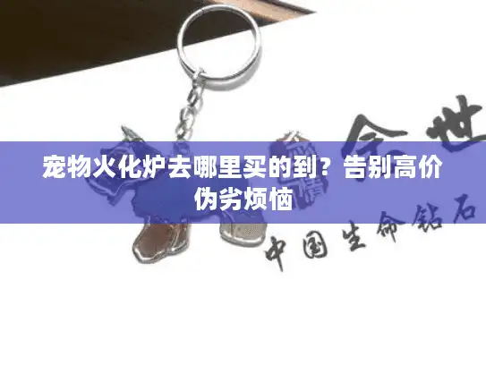 宠物火化炉去哪里买的到？告别高价伪劣烦恼