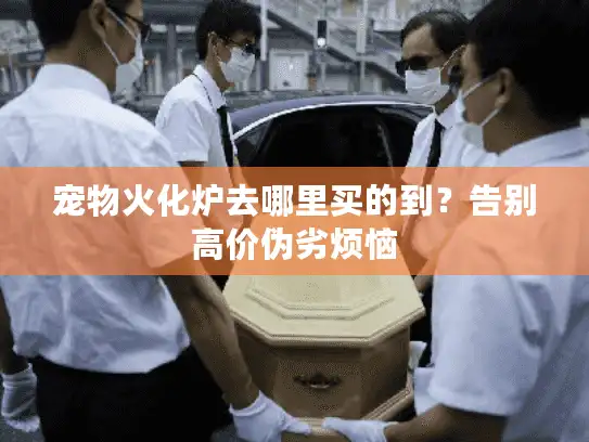 宠物火化炉去哪里买的到？告别高价伪劣烦恼
