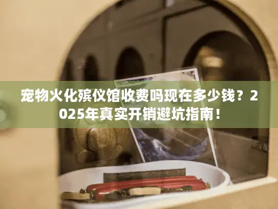 宠物火化殡仪馆收费吗现在多少钱？2025年真实开销避坑指南！