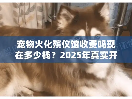 宠物火化殡仪馆收费吗现在多少钱？2025年真实开销避坑指南！