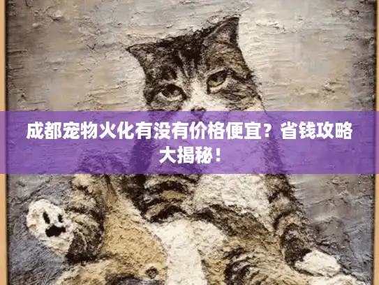 成都宠物火化有没有价格便宜？省钱攻略大揭秘！