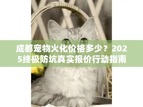 成都宠物火化价格多少？2025终极防坑真实报价行动指南