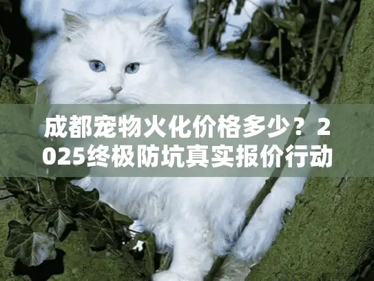 成都宠物火化价格多少？2025终极防坑真实报价行动指南