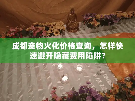 成都宠物火化价格查询，怎样快速避开隐藏费用陷阱？
