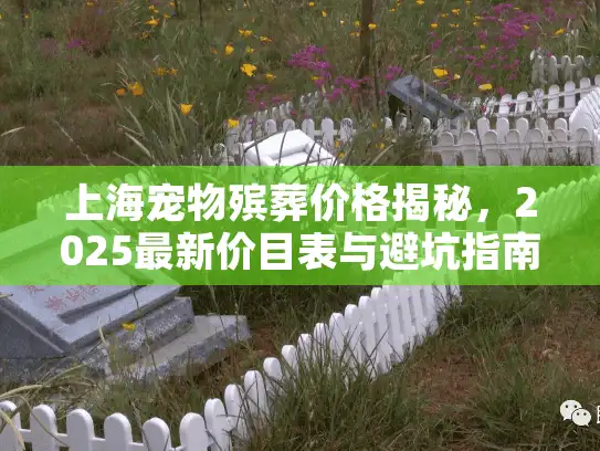 上海宠物殡葬价格揭秘，2025最新价目表与避坑指南