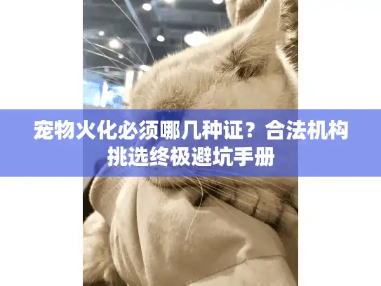 宠物火化必须哪几种证？合法机构挑选终极避坑手册