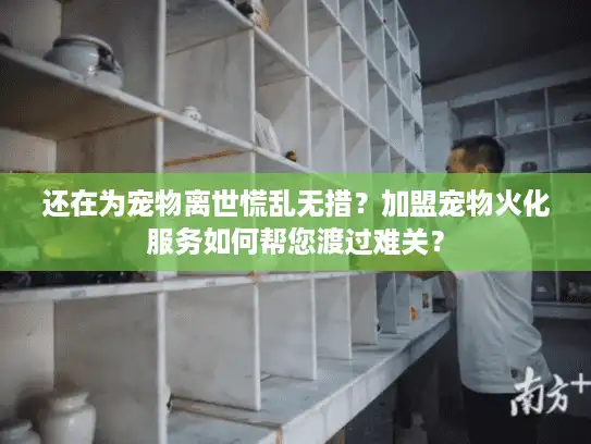 还在为宠物离世慌乱无措？加盟宠物火化服务如何帮您渡过难关？