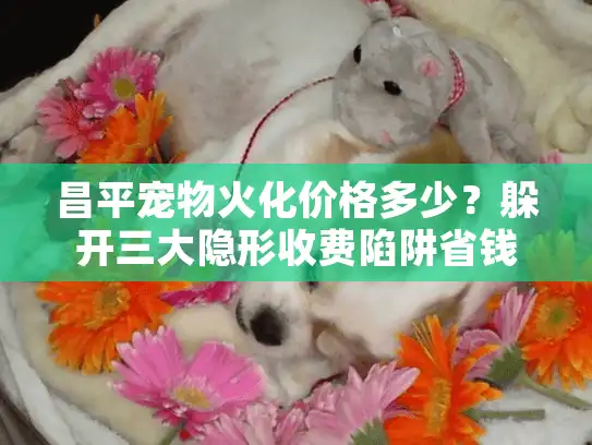 昌平宠物火化价格多少？躲开三大隐形收费陷阱省钱秘诀