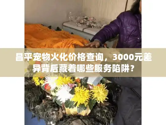 昌平宠物火化价格查询，3000元差异背后藏着哪些服务陷阱？