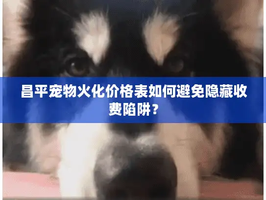 昌平宠物火化价格表如何避免隐藏收费陷阱？