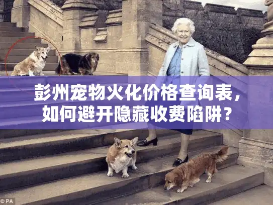 彭州宠物火化价格查询表，如何避开隐藏收费陷阱？
