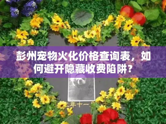 彭州宠物火化价格查询表，如何避开隐藏收费陷阱？