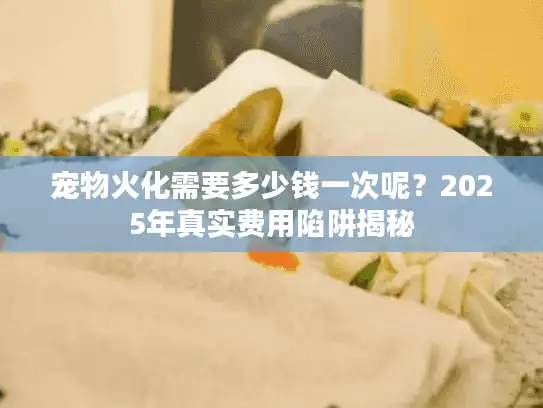 宠物火化需要多少钱一次呢？2025年真实费用陷阱揭秘