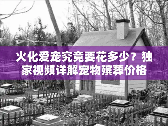 火化爱宠究竟要花多少？独家视频详解宠物殡葬价格迷局
