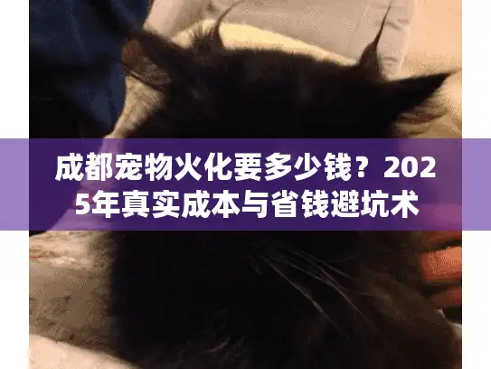 成都宠物火化要多少钱？2025年真实成本与省钱避坑术