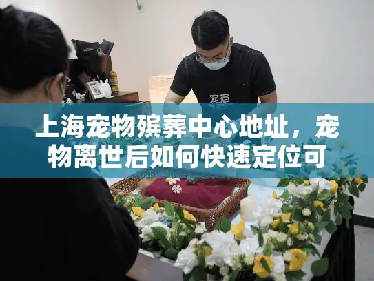 上海宠物殡葬中心地址，宠物离世后如何快速定位可靠服务？