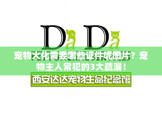 宠物火化需要哪些证件呢图片？宠物主人常犯的3大疏漏！