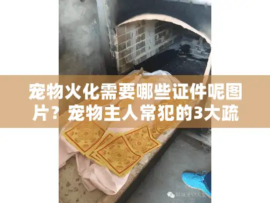 宠物火化需要哪些证件呢图片？宠物主人常犯的3大疏漏！