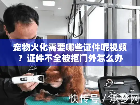 宠物火化需要哪些证件呢视频？证件不全被拒门外怎么办
