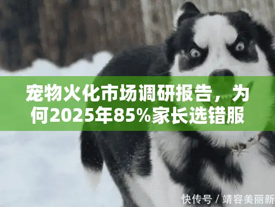 宠物火化市场调研报告，为何2025年85%家长选错服务陷情感陷阱？