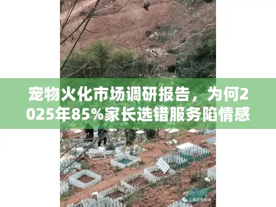 宠物火化市场调研报告，为何2025年85%家长选错服务陷情感陷阱？