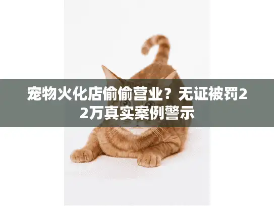 宠物火化店偷偷营业？无证被罚22万真实案例警示